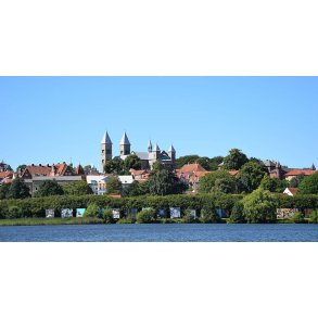 Lejrtur til Viborg 2025