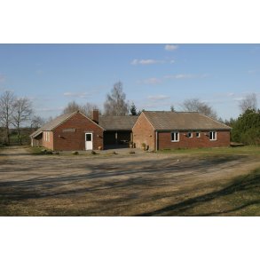 Koloni 2024 - SFO - Tollundskolen (Husk under 