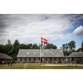 Ahl Hage uge 33 - Tollundskolen - (Husk under 