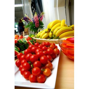 Bespisning Talent-Team S�lystskolen 